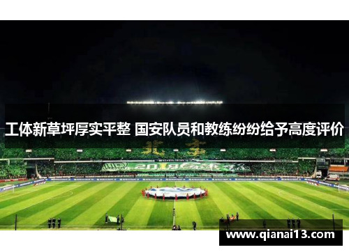 工体新草坪厚实平整 国安队员和教练纷纷给予高度评价