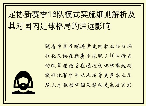 足协新赛季16队模式实施细则解析及其对国内足球格局的深远影响